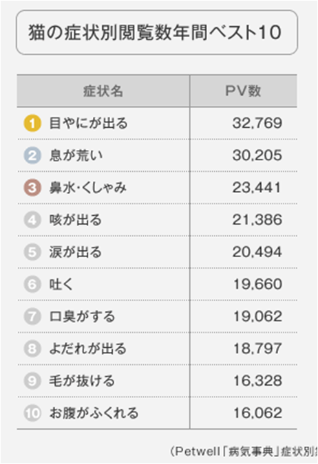 猫の 気になる症状 第１位は 目やに 専門医 服部幸先生 東京猫医療センター からのアドバイス