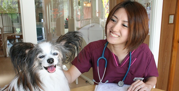今日から始める愛犬の ロコモ対策 ずっと自力で歩けるように 獣医師がアドバイス