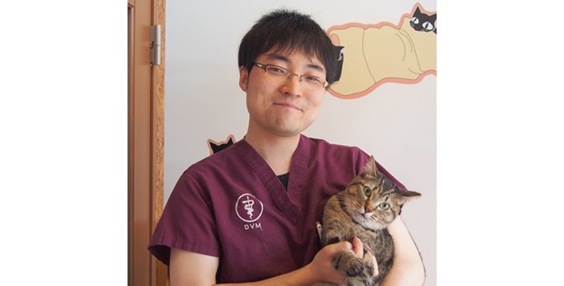 猫の専門医がアドバイス 病院嫌いの猫を病院に連れていくコツ 猫に健康診断が必要なワケ 春山貴志先生 猫の病院シュシュ