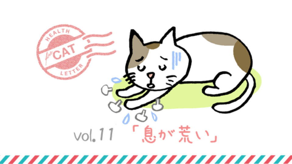 呼吸器疾患だけではない 息が荒くなる 病気 猫は重篤なケースが多いので そうなる前に異常に気づいて 獣医師コラム