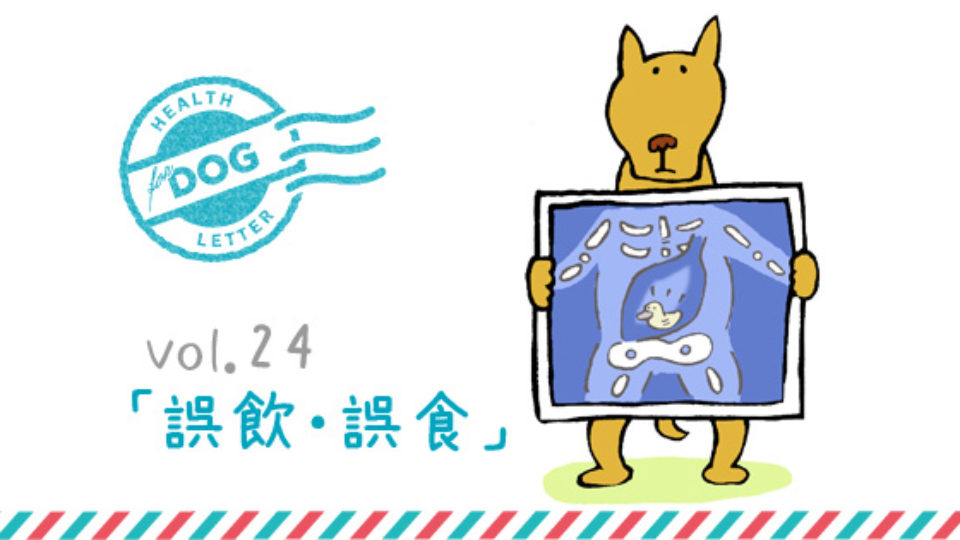 犬の誤飲 事例 対処法 予防策など 獣医師コラム