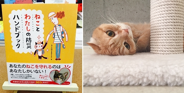 私＋猫のいざという時の備え
