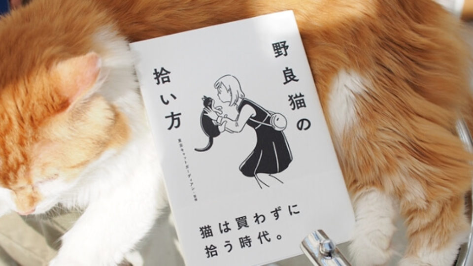 野良猫の拾い方 出版記念 東京キャットガーディアン山本葉子さんと語る 猫への想い
