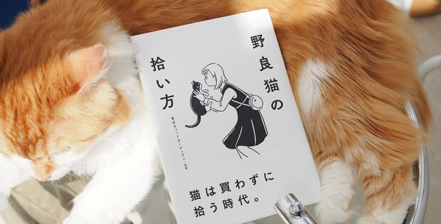 野良猫の拾い方 出版記念 東京キャットガーディアン山本葉子さんと語る 猫への想い