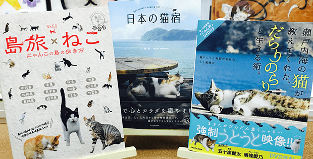 旅先で猫に会いたい！夏旅の計画にオススメの3冊〈神保町にゃんこ堂 選〉