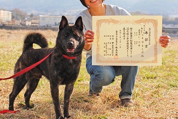 甲斐犬展覧会入賞の賞状を持つ飼い主と犬