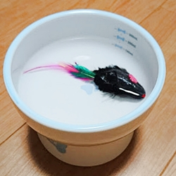 水飲み器に浮かぶネズミのオモチャ