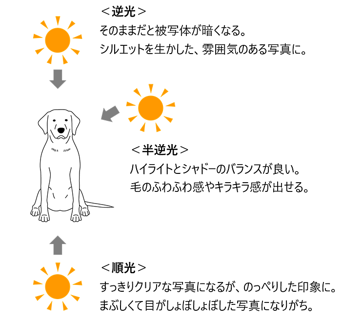光の向きの違いによる写真の違いを示すイラスト