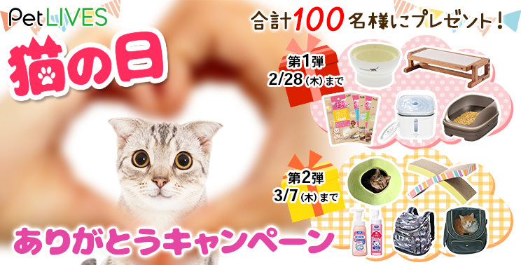 100名プレゼント 猫の日 ありがとうキャンペーン 応募は締め切りました