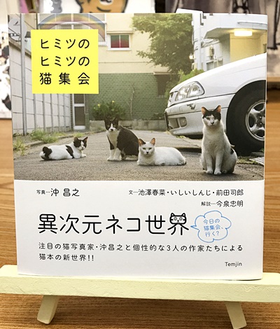 書籍ヒミツのヒミツの猫集会