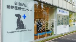 自由が丘動物医療センター外観