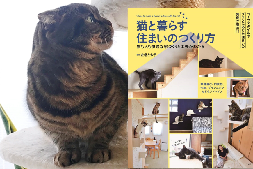 猫がもっと喜ぶ部屋にするために ノウハウ満載 猫と暮らす住まいのつくり方