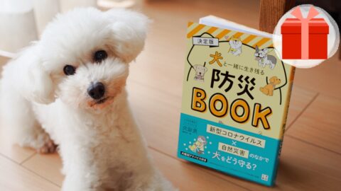 Jpblogdinda 選択した画像 犬 吐く 血 点々 犬 吐く 血 点々