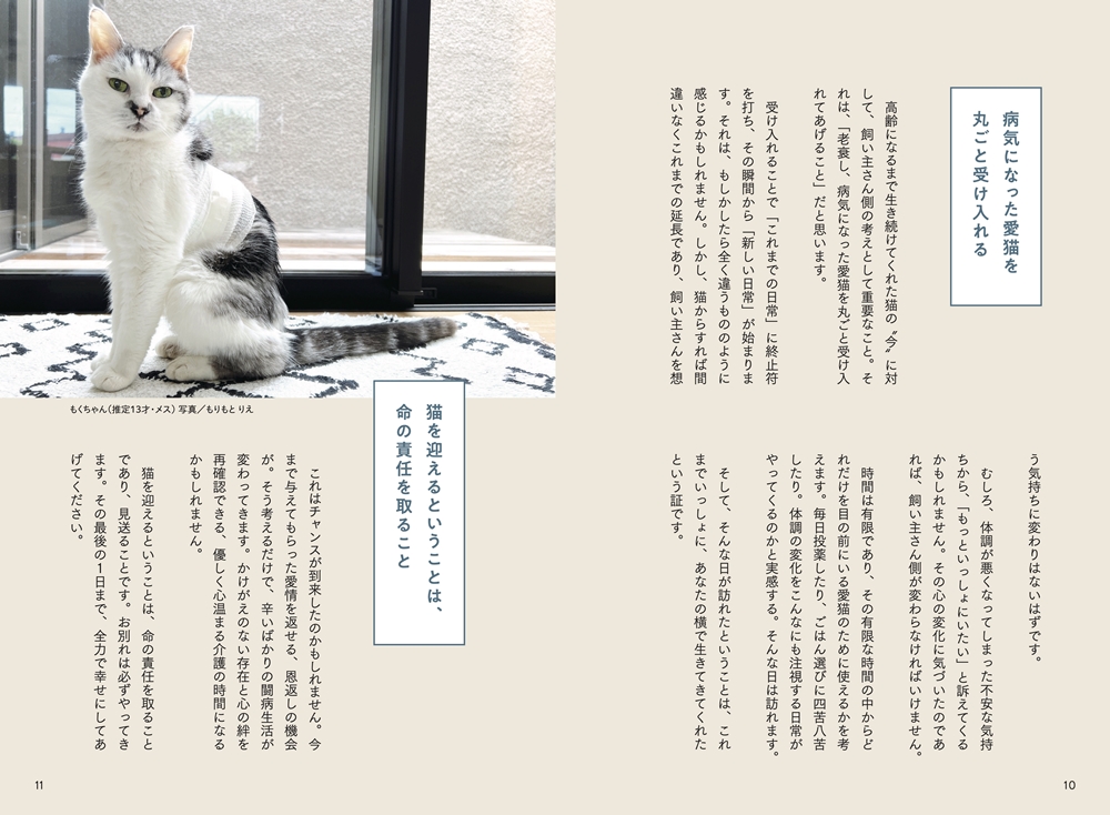 『猫の介護ハンドブック』P10-11