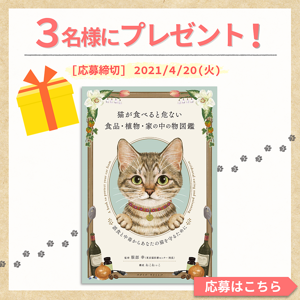 服部幸先生が語る 今増えている猫の誤食とは 新刊 猫が食べると危ない食品 植物 家の中の物図鑑 の背景