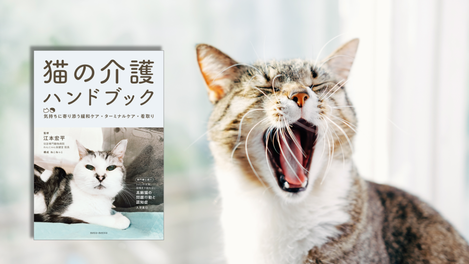 『猫の介護ハンドブック』老化や病気で弱った猫の「介護」がわかるフルカラーの実用書