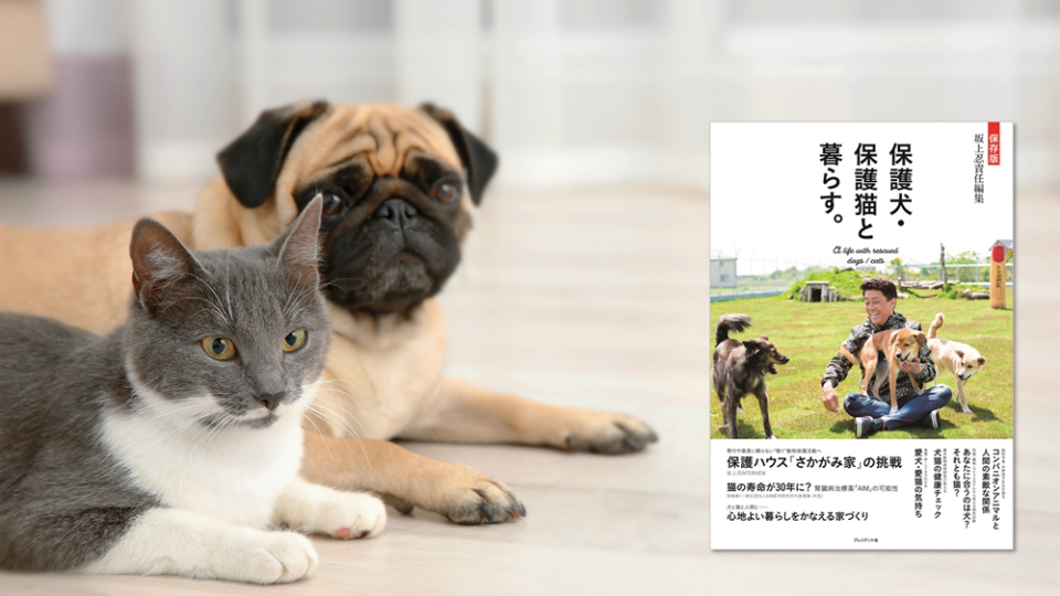 坂上忍が責任編集『保存版 保護犬・保護猫と暮らす。』企画に携わったライターがご紹介
